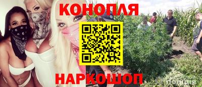 гашик Кунгур