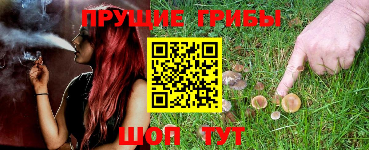Галлюциногенные грибы мухоморы Донецк